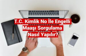 TC Kimlik Numarası ile Maaş Sorgulama Nasıl Yapılır?