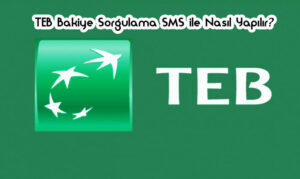 TEB Bakiye Sorgulama Nasıl Yapılır?