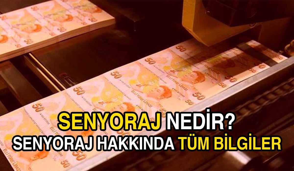 Senyoraj Nedir