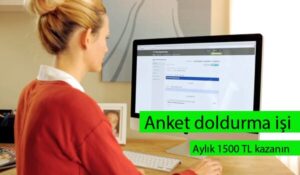 Anket Doldurarak Nasıl Para Kazanılır?