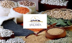 Şanlıurfa Büyükşehir Belediyesi Gıda Bankası Kartı Başvurusu ve Sorgulama