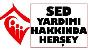 SED Yardımı Nedir? Kimlere Verilir? Başvuru ve Sorgulama