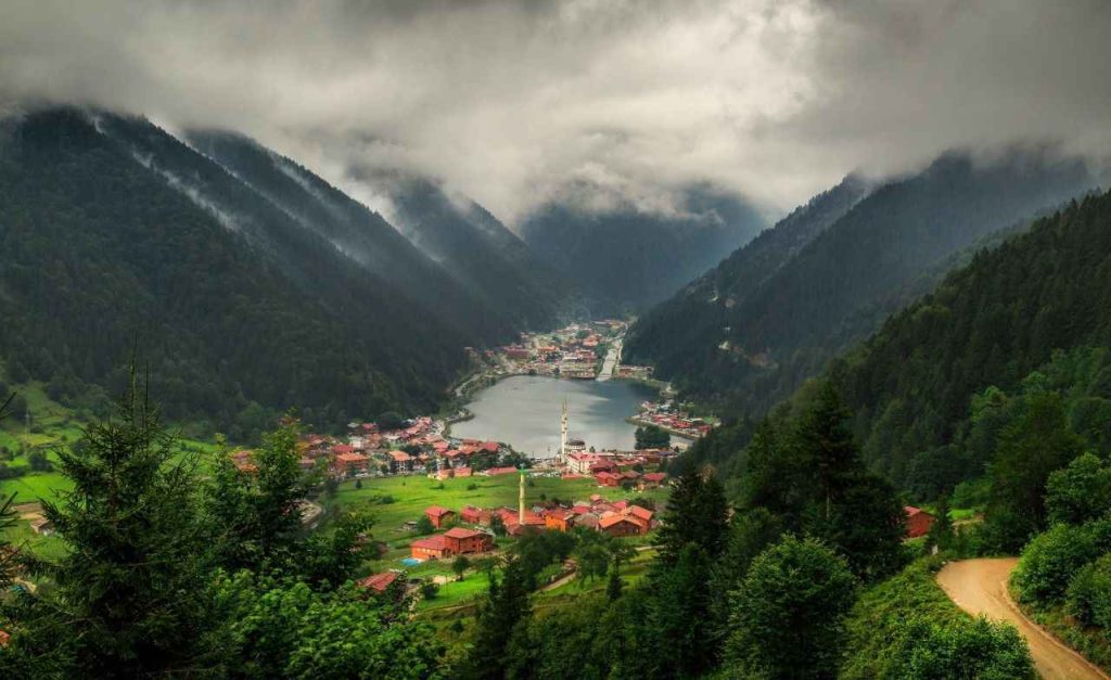 Trabzon Büyükşehir Belediyesi Yardım Başvurusu ve Sorgulama